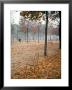 Lone Chair Sitting Amongst Fallen Leaves In Tuileries Gardens by Alfred Eisenstaedt Limited Edition Print