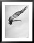 Diver Ann Ross Performing Dive by Gordon Coster Limited Edition Pricing Art Print