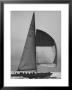 The Pattie Bounding For Home After The Trials For The America's Cup by George Silk Limited Edition Print