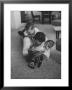 Mike Sibole, Four-Year-Old Recently Blinded To Save His Life, Playing With Father And Brother by Stan Wayman Limited Edition Print