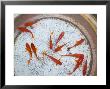 Goldfish In Pan, Old Town, Lijiang, Yunnan Province, China by Walter Bibikow Limited Edition Print