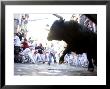Running Of The Bulls, San Fermin Festival, Pamplona, Navarra, Spain, Europe by Marco Cristofori Limited Edition Print