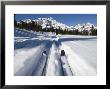 Bow Summit, Banff National Park, Unesco World Heritage Site, Rocky Mountains, Alberta, Canada by Snell Michael Limited Edition Print