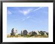 Standing Stones, Carnac, Morbihan, Brittany, France by David Hughes Limited Edition Print