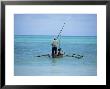 Man Sailing A Fishing Boat On The Indian Ocean, Zanzibar, Tanzania, East Africa, Africa by Yadid Levy Limited Edition Print