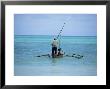 Man Sailing A Fishing Boat On The Indian Ocean, Zanzibar, Tanzania, East Africa, Africa by Yadid Levy Limited Edition Pricing Art Print