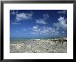 Rocky Shore, Grand Cayman, Cayman Islands, West Indies, Central America by Ruth Tomlinson Limited Edition Print