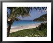 Beach At Anse Des Flamands, St. Barts (St. Barthelemy), West Indies, Caribbean, Central America by Ken Gillham Limited Edition Print