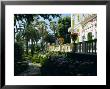 Gardens Of The Villa Durazzo, Santa Margherita Ligure, Portofino Peninsula, Liguria, Italy, Europe by Ruth Tomlinson Limited Edition Print