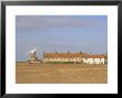 Reedbeds And Cley Windmill, Norfolk, England by Pearl Bucknell Limited Edition Print