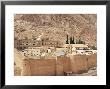 St. Catherine's Monastery, Unesco World Heritage Site, Sinai, Egypt, North Africa, Africa by Nico Tondini Limited Edition Print