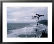 Waves Crashing Into Rocks On The Pacific Coast, Oregon, United States Of America, North America by Aaron Mccoy Limited Edition Print