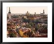 Tallinn, Estonia by Peter Adams Limited Edition Print