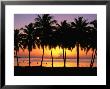 Palm Trees At Sunset, Cook Islands by Peter Hendrie Limited Edition Pricing Art Print