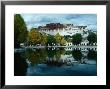 View Of Impressive Potala Palace And Lake In Chingdrol Chiling (Liberation Park), Lhasa, Tibet by Richard I'anson Limited Edition Print