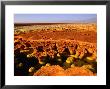 Encrusted Pool And Barren Landscape, 116M Below Sea Level, Dallol, Danakil Depression, Ethiopia by Ariadne Van Zandbergen Limited Edition Print