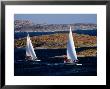 Sailboats Cruising In Bohuslan Archipelago, Mollosund, Vaster-Gotaland, Sweden by Anders Blomqvist Limited Edition Print