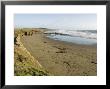 Beach North Of San Simeon, California by Rich Reid Limited Edition Pricing Art Print