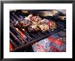 Closeup Of Chicken Kebabs Cooking On A Campfire, Cape Cod, Massachusetts by Tim Laman Limited Edition Print