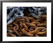 Rusted Chains In A Pile On A Pier, Groton, Connecticut by Todd Gipstein Limited Edition Print