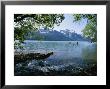 Paddlers Kayak On Chilkoot Lake In Haines, Alaska by Rich Reid Limited Edition Pricing Art Print