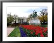 View Of The White House From Lafayette Park by Rex Stucky Limited Edition Print