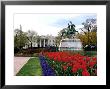 View Of The White House From Lafayette Park by Rex Stucky Limited Edition Pricing Art Print