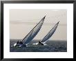Two Sailboats Race Upwind Towards The Golden Gate Bridge, San Francisco Bay, California by Skip Brown Limited Edition Print