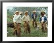 Cowboys On The King Ranch Stand Around During A Break From Rounding Up Cattle by Ralph Crane Limited Edition Print