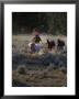 Cowboys Rounding Up Horses by Inga Spence Limited Edition Pricing Art Print