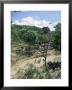 Houses And People Walking In Dry River Bed Caused By Erosion, Near Petionville, Haiti, West Indies by Lousie Murray Limited Edition Print