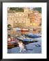 Cat By Harbour, Village Of Vernazza, Cinque Terre, Unesco World Heritage Site, Liguria, Italy by Bruno Morandi Limited Edition Print