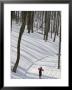 Little Boy Country Skiing On A Trail Through Snowy Woods, Canaan Valley, West Virginia by Skip Brown Limited Edition Print