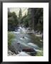 Water Flowing In The South Fork Kings River, Kings Canyon National Park, California by Rich Reid Limited Edition Print