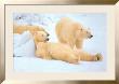 Bad Boys Of The Arctic, Polar Bears by Thomas D. Mangelsen Limited Edition Print