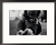 A Young Girl Reaches Out For A Firefly by Stephen Alvarez Limited Edition Print