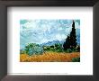 Yellow Wheat And Cypresses by Vincent Van Gogh Limited Edition Print