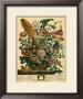 August by Robert Furber Limited Edition Print