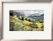 An Alberta Summer by Catherine Perehudoff Limited Edition Print