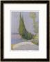 Row Of Cypress Trees Edge The Path Near Salo Lake Garda by M. Mccrossan Limited Edition Pricing Art Print