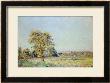 Summer's Day by Alfred Sisley Limited Edition Print