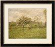 Apple Tree Blossom At Eragny by Camille Pissarro Limited Edition Pricing Art Print