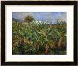 The Banana Plantation, 1881 by Pierre-Auguste Renoir Limited Edition Print