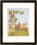 Couple In A Chinese Garden, From Ornaments Of China by Jean Francois Albanis De Beaumont Limited Edition Pricing Art Print