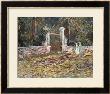 Entrance To The Voyer-D'argenson Park At Asnieres by Vincent Van Gogh Limited Edition Print