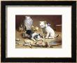 Playful Kittens by Carl Reichert Limited Edition Print
