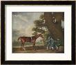 Great-Grandson Of Darley Arabian Raced 1769-1770 In 18 Races All Of Which He Won by George Stubbs Limited Edition Pricing Art Print