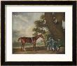 Great-Grandson Of Darley Arabian Raced 1769-1770 In 18 Races All Of Which He Won by George Stubbs Limited Edition Print