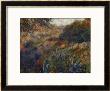 Algerian Landscape, The Gorge Of The Femme Sauvage, 1881 by Pierre-Auguste Renoir Limited Edition Print