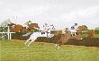 Des Chevaux Et Des Hommes : Le Steeple-Chase by Vincent Haddelsey Limited Edition Print